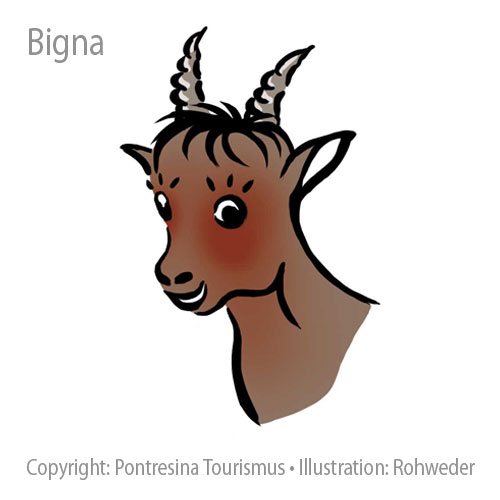 Illustration Steinbock Paradies Pontresina - Steinbock Bigna Junior